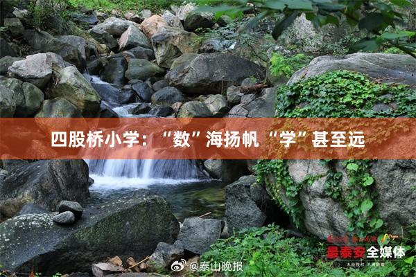四股桥小学：“数”海扬帆 “学”甚至远
