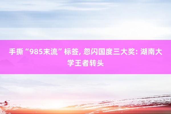手撕“985末流”标签, 忽闪国度三大奖: 湖南大学王者转头