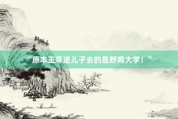 “原本王菲送儿子去的是野鸡大学！”