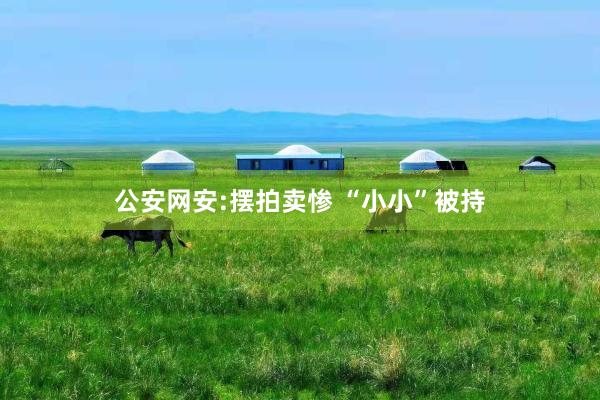 公安网安:摆拍卖惨 “小小”被持