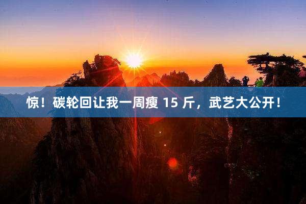 惊！碳轮回让我一周瘦 15 斤，武艺大公开！
