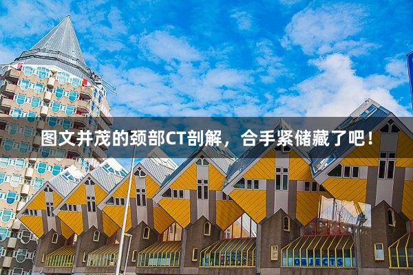 图文并茂的颈部CT剖解，合手紧储藏了吧！