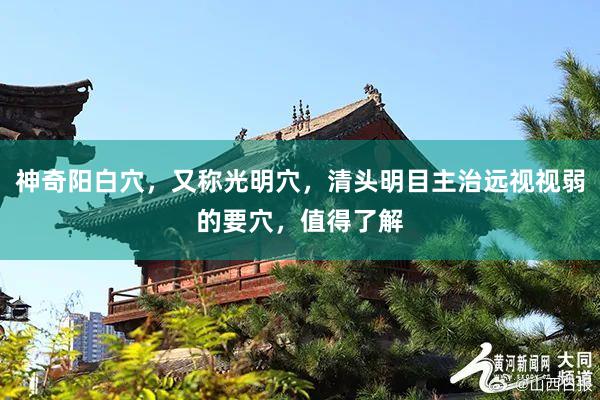 神奇阳白穴，又称光明穴，清头明目主治远视视弱的要穴，值得了解