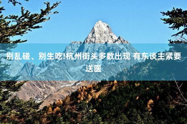 别乱碰、别生吃!杭州街头多数出现 有东谈主紧要送医