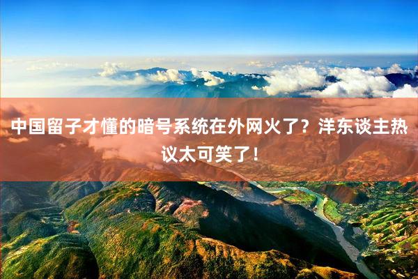中国留子才懂的暗号系统在外网火了？洋东谈主热议太可笑了！