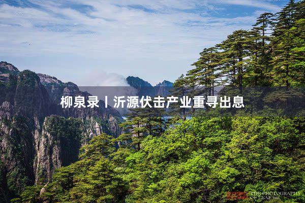 柳泉录丨沂源伏击产业重寻出息